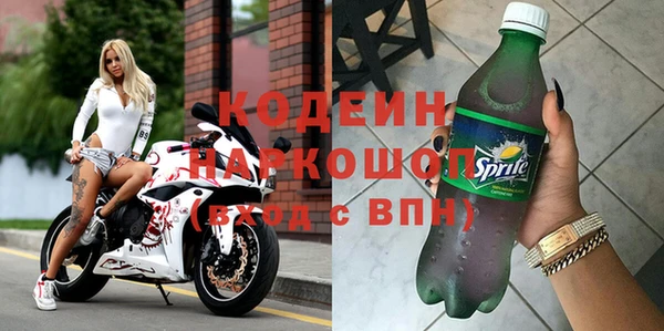 шишки Саяногорск