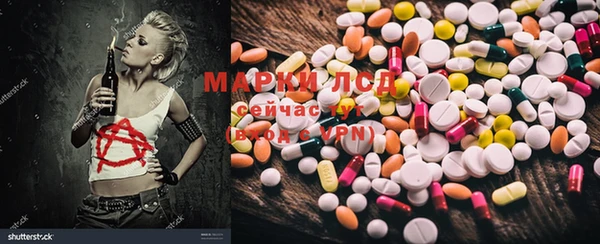 стафф Арсеньев